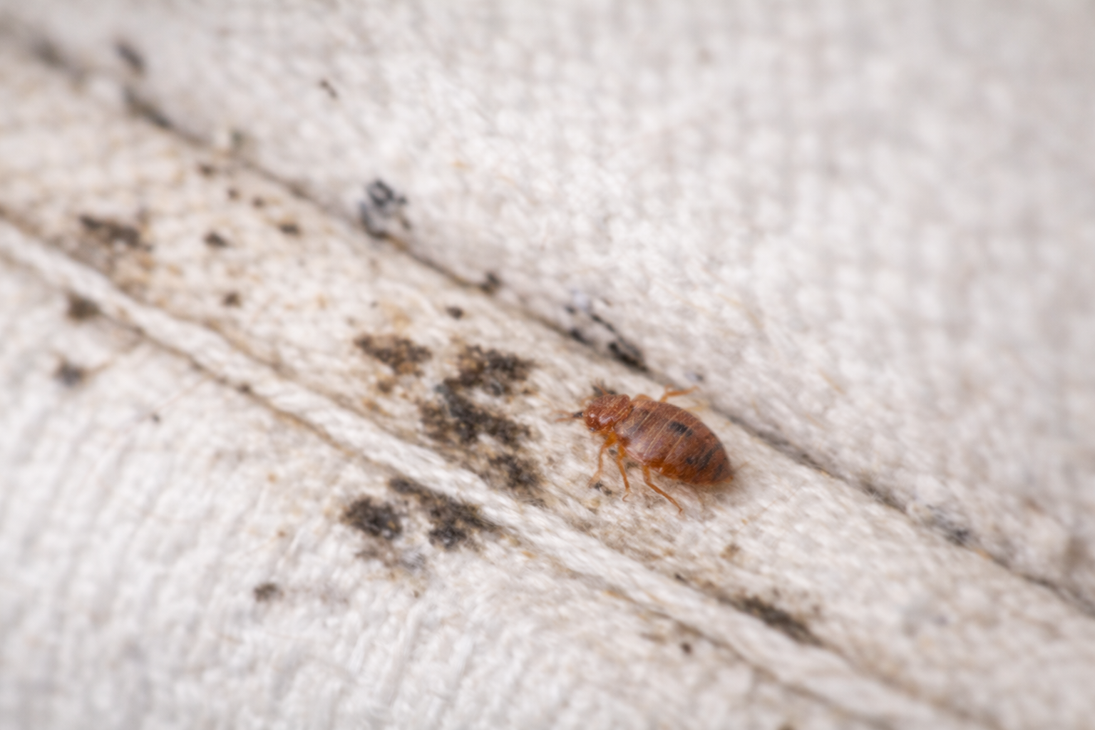 chatgpt image mar 1, 2026, 07 03 28 pm