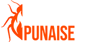 cropped logo escouade punaise black background header.png