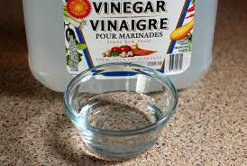 Le vinaigre blanc est-il efficace contre les punaises de lit?