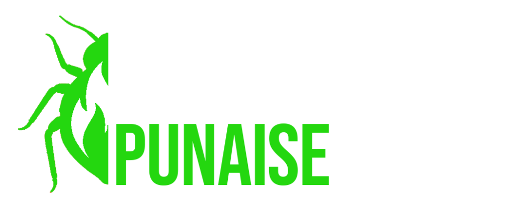 logo escouade punaise vert black background