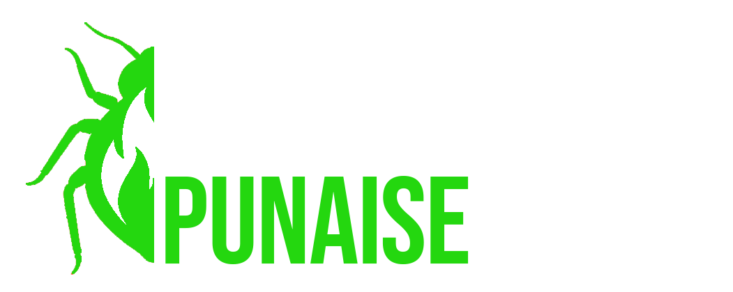logo escouade punaise vert black background