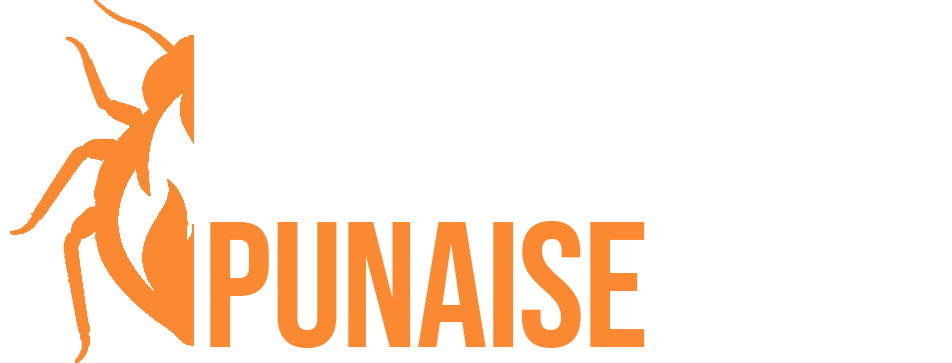 logo escouade punaise