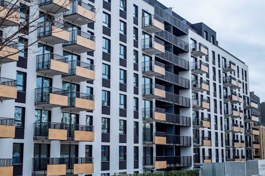 Quoi faire en cas d’infestation dans des immeubles mitoyens