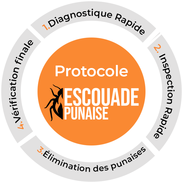 protocole round