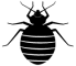 bed bug icon small