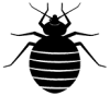 bed bug icon small