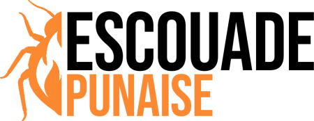logo escouade punaise white background